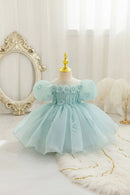 Summer Infant Baby Girl Dresses Flower Appliques Toddler Kids Birthday Party Princess Wedding Ball Gown