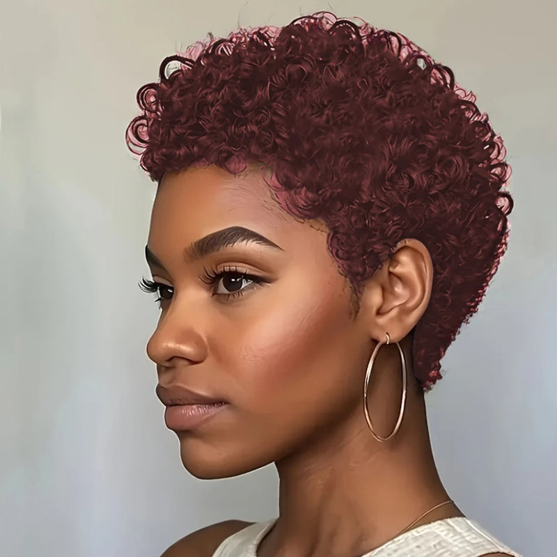 Pixie Cut Wigs Human Hair Wig For Black Women Short Afro Kinky Curly Machine Made Wigs