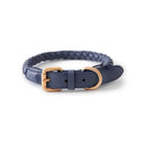 Navy braided leather dog collar with gold buckle on a white background, Obroi