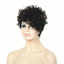 Short Curly Brown Wigs for Women Natural Looking Cosplay Hair Wigs