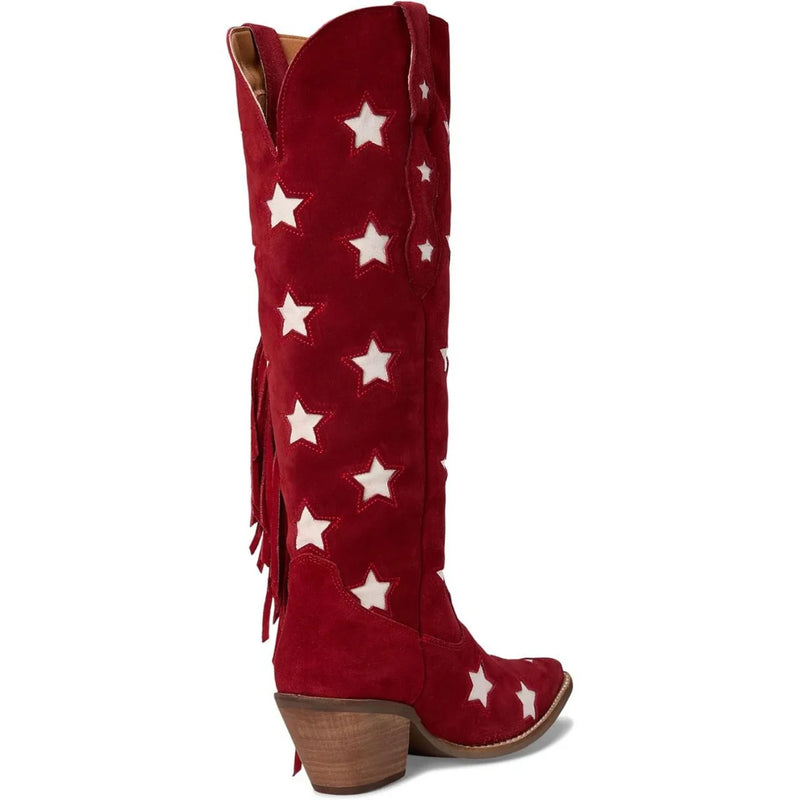 Tassel Western Boots Pointed Toe Chunky Heel Women's Long Boots