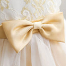 Summer Lace Princess Dresses For Kids Birthday Dress Flowers Girls Dress Children's Birthday Party Costume Infant Dress