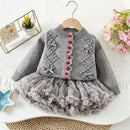 A toddler girl's gray knit cardigan sweater with a matching gray ruffled tulle tutu skirt, displayed on a wooden hanger against a white textured background with decorative props, Obroi
