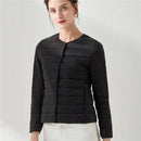 42967293427868|42967293460636|42967293493404|42967293526172|42967293558940|42967293591708