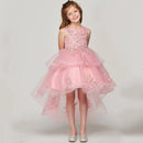Exquisite Flower Little Girl Dress Baby Dresses Pretty Appliques Sleeveless Scoop Neck Short Kid Evening Party Gowns