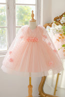 Pink lace dress on a mannequin in a bright room with flowers and a window, Obroi