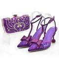Women Shoes and Bag Set Decorated with Rhinestone Wedding Shoes Bride Shoe and Bags Set for Party