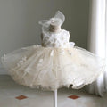 Princess Ball Gown For Baby Girls Birthday Party Dress