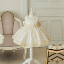 Girls Princess Dress for Baby Elegant Wedding Dresses Kids Vintage Ball Gown Children 1st Birthday Baptism Party