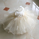 Princess Ball Gown For Baby Girls Birthday Party Dress