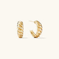Pair of gold hoop earrings on a white background with product details, Obroi