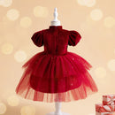 Children's Dress Wedding Standing Neck Girls Dress Red Velvet Children's Dress Christmas Clothing