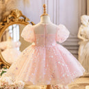 Girl's Princess Dress Spring Fairy Girl Little Girl Birthday Party Puffy Tulle Performance Dress