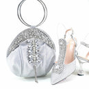 Women Shoes and Bag Elegant Ladies Pointed Toe Pumps
