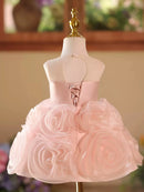 Gorgeous and elegant girl birthday party dress baby one year old party evening dress big flowers girl children's clothing