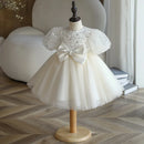 Spring Girls Princess Dress Toddler Baby Girls Baptism Christening Gown Party Wedding Princess White Tulle