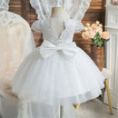 Champagne Bow Dress for Baby Girl Flower Lace Princess Prom Gown Tulle Tutu Birthday Formal Dress