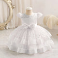 Baby Clothing Princess Girls Party Dresses for Occasion Kids Dress Newborn Girl Clothes Ball Gown