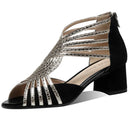 44607884263580|44607884296348|44607884329116|44607884361884|44607884394652|44607884427420|44607884460188|44607884492956|44607884525724