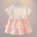 Summer Toddler Girl Dress 0-4Y Baby Girl Clothes Flower Print Princess Costume Wedding Birthday Party Costume Kid Outfit
