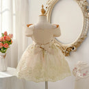 Golden Embroidery Summer Girls Sweet Flower Princess Dresses Casual Mesh Birthday Ball Gown For Kids