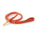 Orange braided dog leash with gold hardware on a white background, Obroi