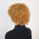 Curly Human Hair Honey Blonde Water Wave Short Pixie Cut Glueless Made Wig