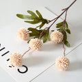 Decorative branch with beige spherical flowers and green leaves on a white background, Obroi