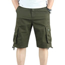 43701353840796|43701353873564|43701353906332|43701354168476|43701354201244|43701354234012|43701354266780|43701354299548|43701354332316|43701354365084|43701354397852