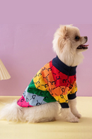 Small dog wearing a colorful sweater on a pink background, Obroi