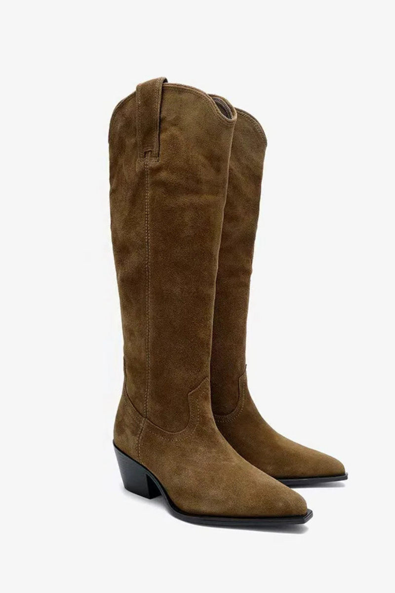 Women Boots Autumn/Winter Anti Velvet Western Coarse Heel Pointed Long Boots