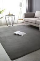 Modern Minimalist Coral Fleece Carpet Living Room Bedside Rug Home Decoration