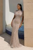 Champagne Evening Dress Sheer Sleeve Grid Rhinestone Mermaid Formal Occasion Gown