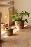 Three woven planters with a plant on a wooden floor, Obroi