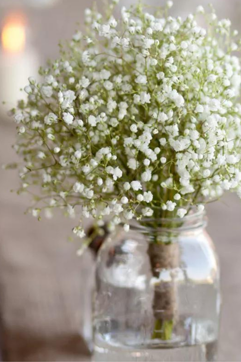 Babies Breath Artificial Flowers Plastic Gypsophila DIY Floral Bouquets Arrangement for Wedding Home Decoration