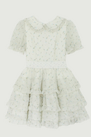 Women's Floral Mini Dress Party Club Elegant Vintage Kawaii Peter Pan Collar Short Sleeve A-line Dresses Summer