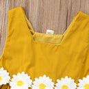 Princess Kids Baby Girl Lace Floral Tulle Dress Birthday Party Wedding Pageant Formal Tutu Dress