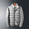 Casual Down Jacket Men Autumn and Winter New White Duck Down Stand-up Collar Male Coat Clothes