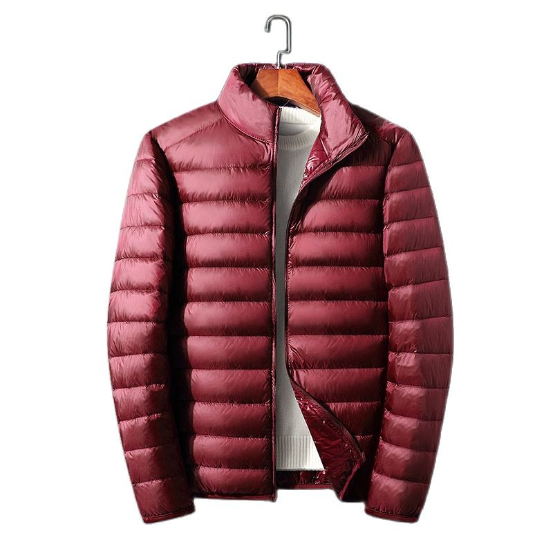 Casual Down Jacket Men Autumn and Winter New White Duck Down Stand-up Collar Male Coat Clothes