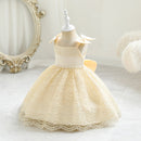 Lace Mesh Baby Girls Dresses Christening Gown Newborn Wedding Baptism Formal Princess Clothes