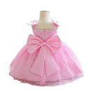 Lace Mesh Baby Girls Dresses Christening Gown Newborn Wedding Baptism Formal Princess Clothes