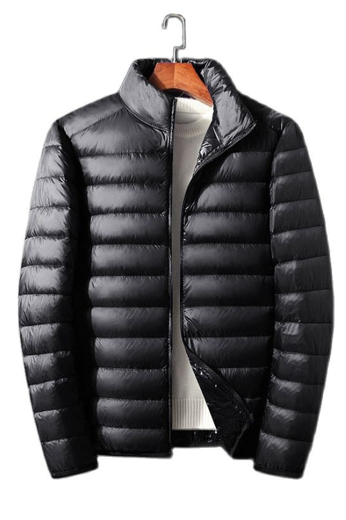 Casual Down Jacket Men Autumn and Winter New White Duck Down Stand-up Collar Male Coat Clothes