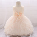 Embroidery Baby Girl Dress for Infant 6-24 Month Baby Girls First Year Birthday Dresses Beaded Flower Sleeveless Princes