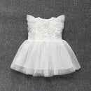 Baby summer dress girls princess lace dress baby christening baptism gown party wedding 0-12 months photo shooting cute dress