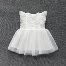 Baby summer dress girls princess lace dress baby christening baptism gown party wedding 0-12 months photo shooting cute dress