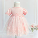Girls Dress Summer Lace Chiffon Flowers Embroidery Children Clothing Baby Princess Dress Ball Gown 0-2Y