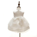 Dresses For Newborn Girls Ceremonies Party Dress Baby Clothes Costumes For Girl Wedding Christening Gown 0-2 Years